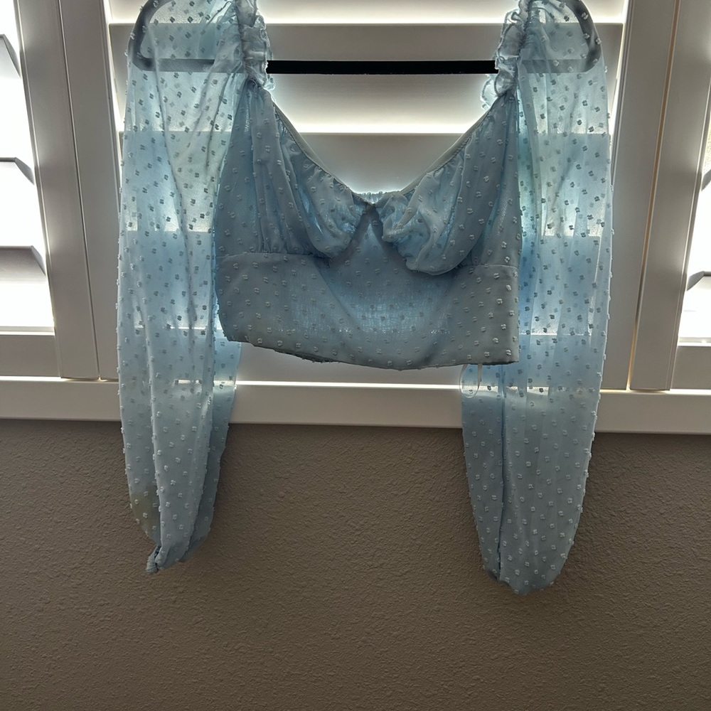 Sheer Blue Polka Dot Crop Top with Long Sleeves